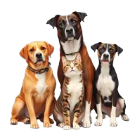 Autres animaux